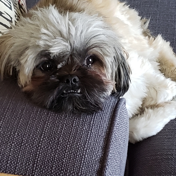 Meet your Posher, Jeanelle - Picture 10 of 11